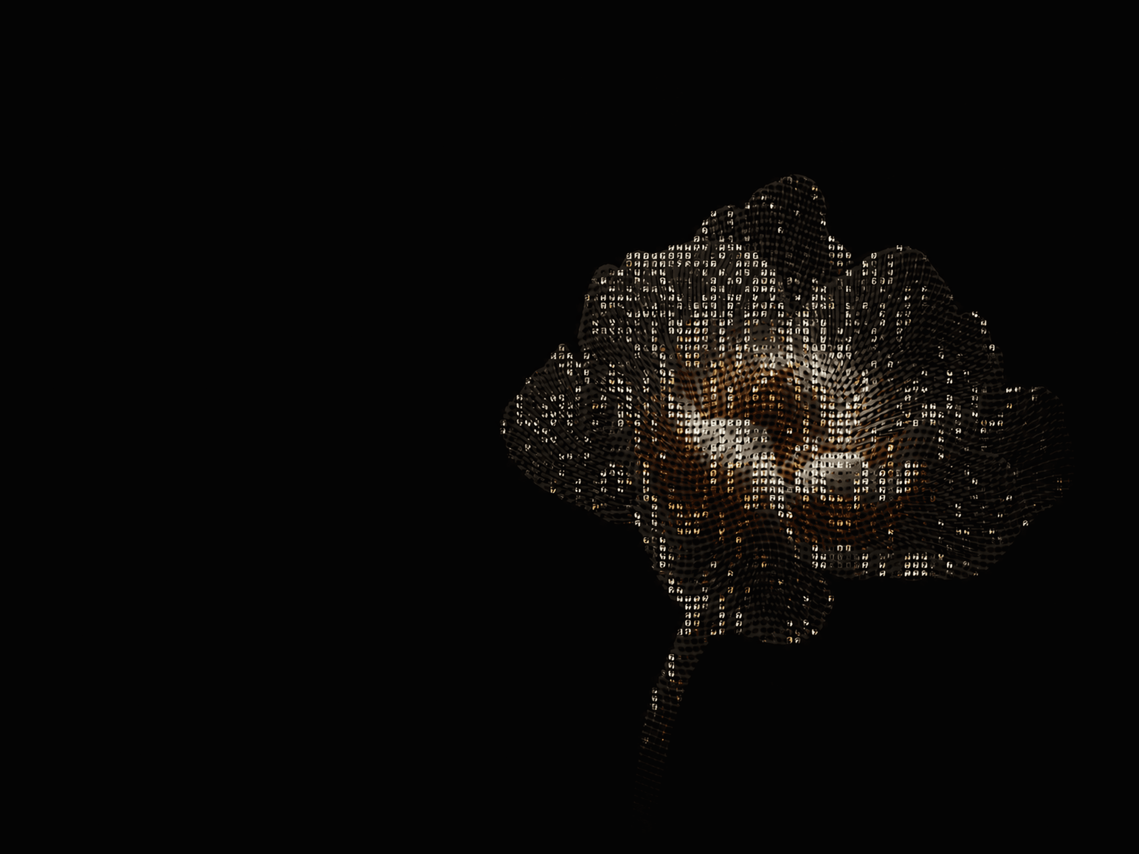Flower Decoration